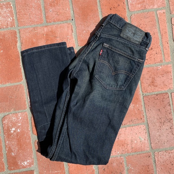 Levi's | Jeans | Mens Levis 51 29x3 Used | Poshmark